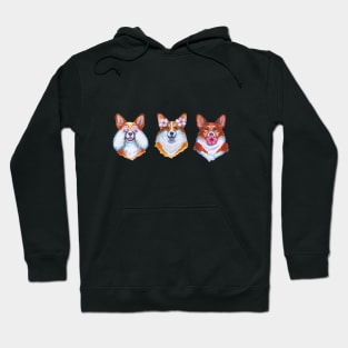 Three wise corgies Hoodie